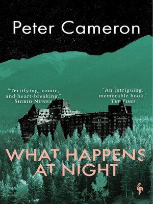 What Happens at Night - ebook